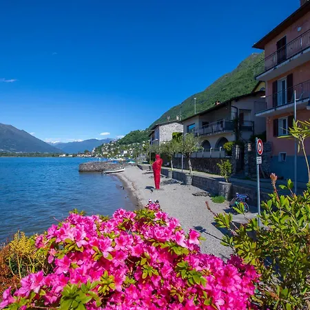 Imbarcadero - Happy Locarno