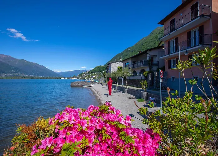 Imbarcadero - Happy 로카르노